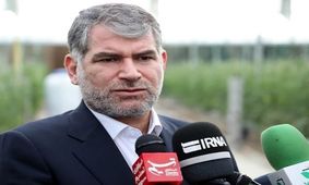 وزیر کشاورزی در واکنش به شایعه معدوم سازی ۱۵ میلیون قطعه جوجه یک روزه: در چند وقت گذشته جوجه کشی نداشته‌ایم