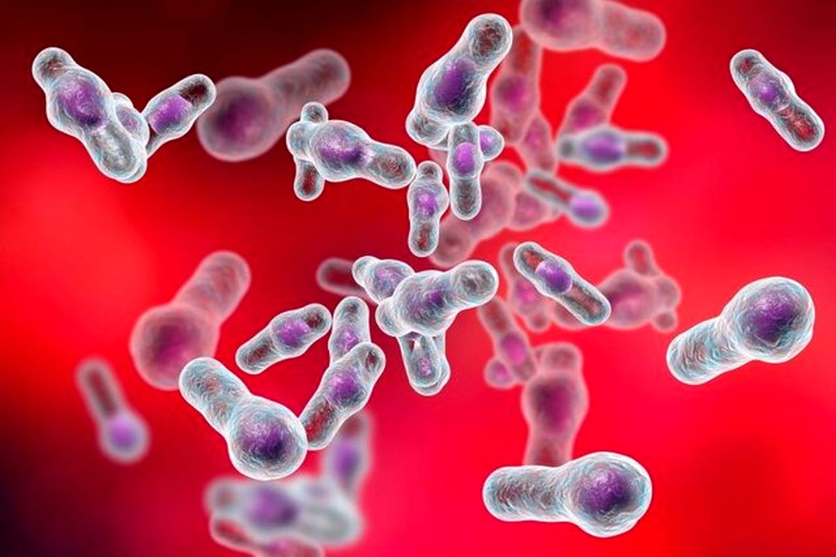 نقش اسفنج دریایی در مبارزه با باکتری های مقاوم به آنتی بیوتیک
