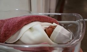 تعداد نوزادان متولد شده در جنگ ۱۲ روزه