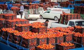 قیمت گوجه فرنگی به مرز ۱۰۰ هزار تومان رسید