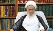 اهداى کلیه در چه سنّى جایز است؟ پاسخ حضرت آیت الله مکارم