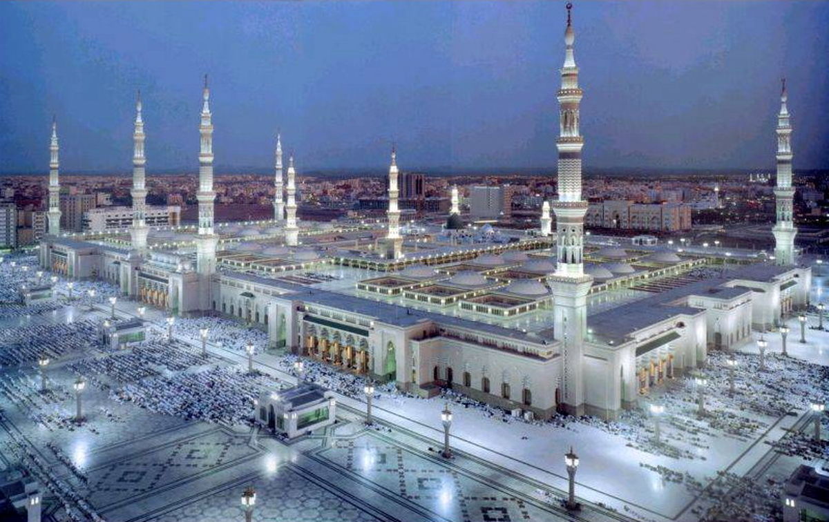 ملخ‌ها، مهمانان ناخوانده صحن مسجد النبی/ ویدئو

