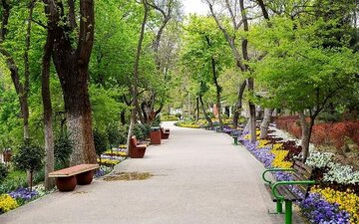 توضیحات وصی محتشمی پور درباره ساخت مسجد در قیطریه