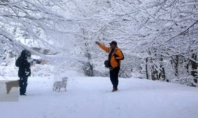 کاهش محسوس دما در کشور