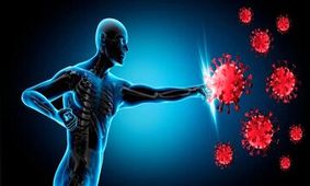 ۴ خوراکی جادویی برای تقویت سیستم ایمنی بدن