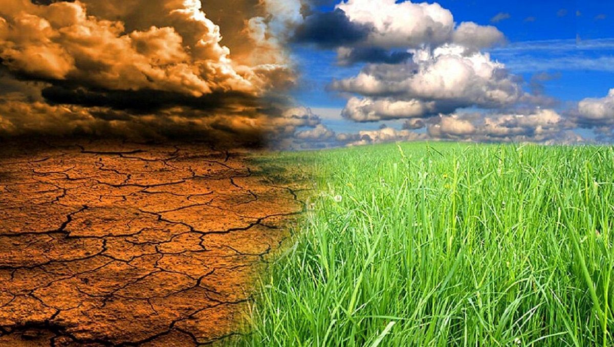 بحران جهانی امنیت غذایی/ 7 استان ایران را ناامنی غذایی تهدید می‌کند