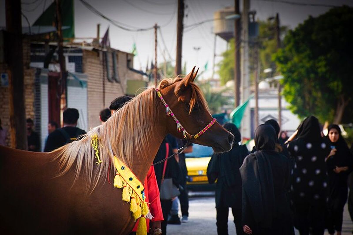 سی و ششمین سال برگزاری شبیه‌خوانی حسینی در روستای سید محمد تفاخ الهدامه