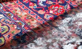 آموزش شستشوی فرش دستباف در منزل
