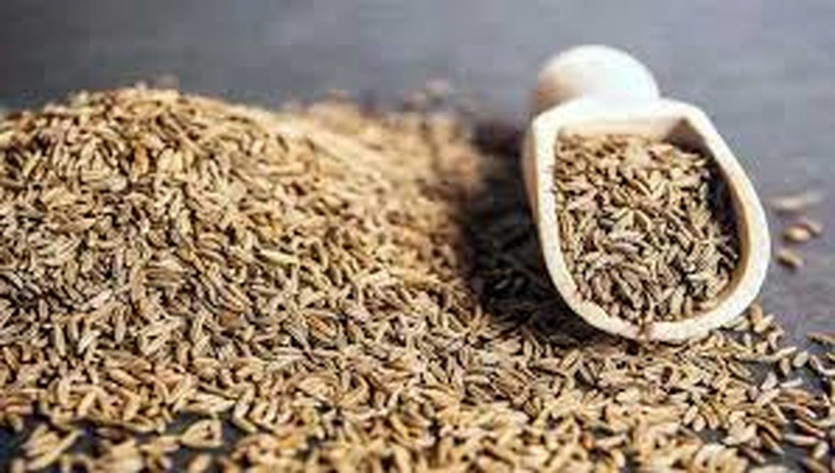 زیره را کی و کجا استفاده کنیم تا عطر غذا را چند برابر کند؟