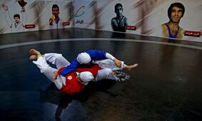 علیرضا دبیر مخالف کشتی زنان نیست/ فدراسیون جودو مانع حضور جودوکاران در آلیش می‌شود

