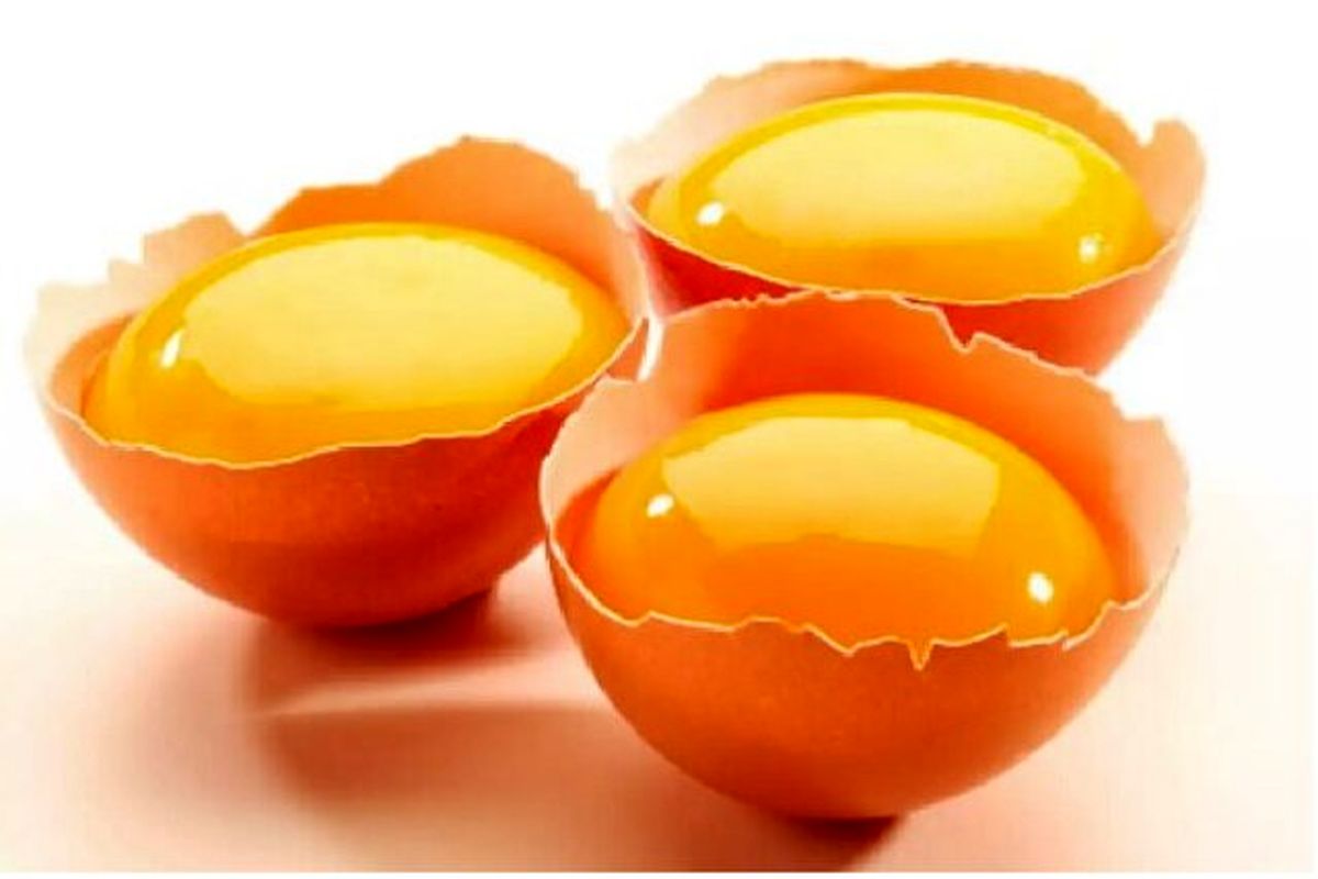 آیا مصرف زرده تخم مرغ خام با شیر ولرم باعث تقویت سیستم ایمنی بدن می‌شود؟