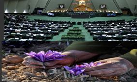 حکم حکومتی، تنها راه درمان "درد" زعفران ایران / آقای رییس جمهور، نگذارید مافیا زعفران ایران را نیست و نابود کند