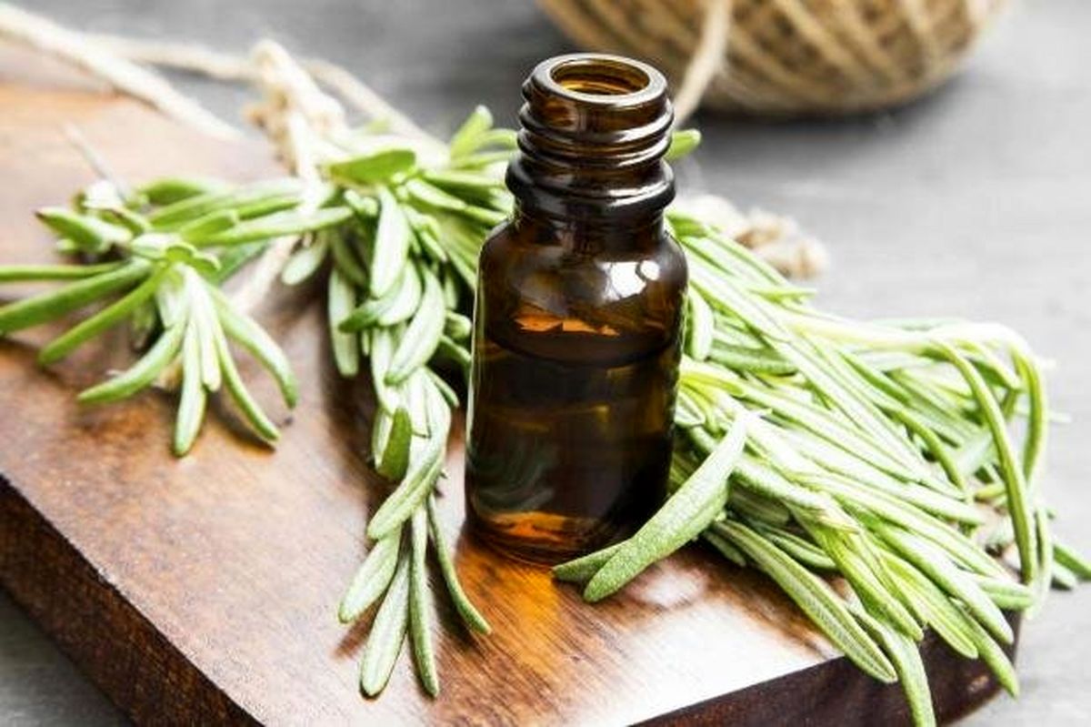 چگونه از روغن رزماری برای موها استفاده کنیم؟