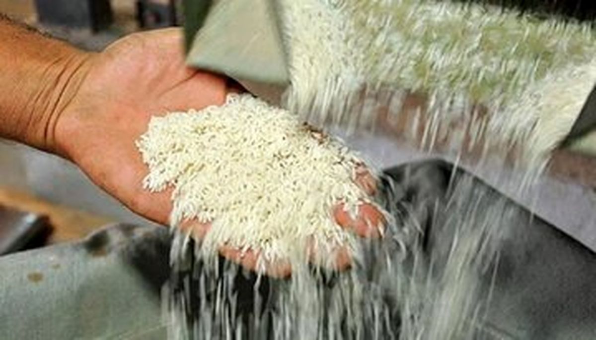 قیمت برنج در میادین و بازارهای میوه و تره‌بار شهرداری تهران اعلام شد