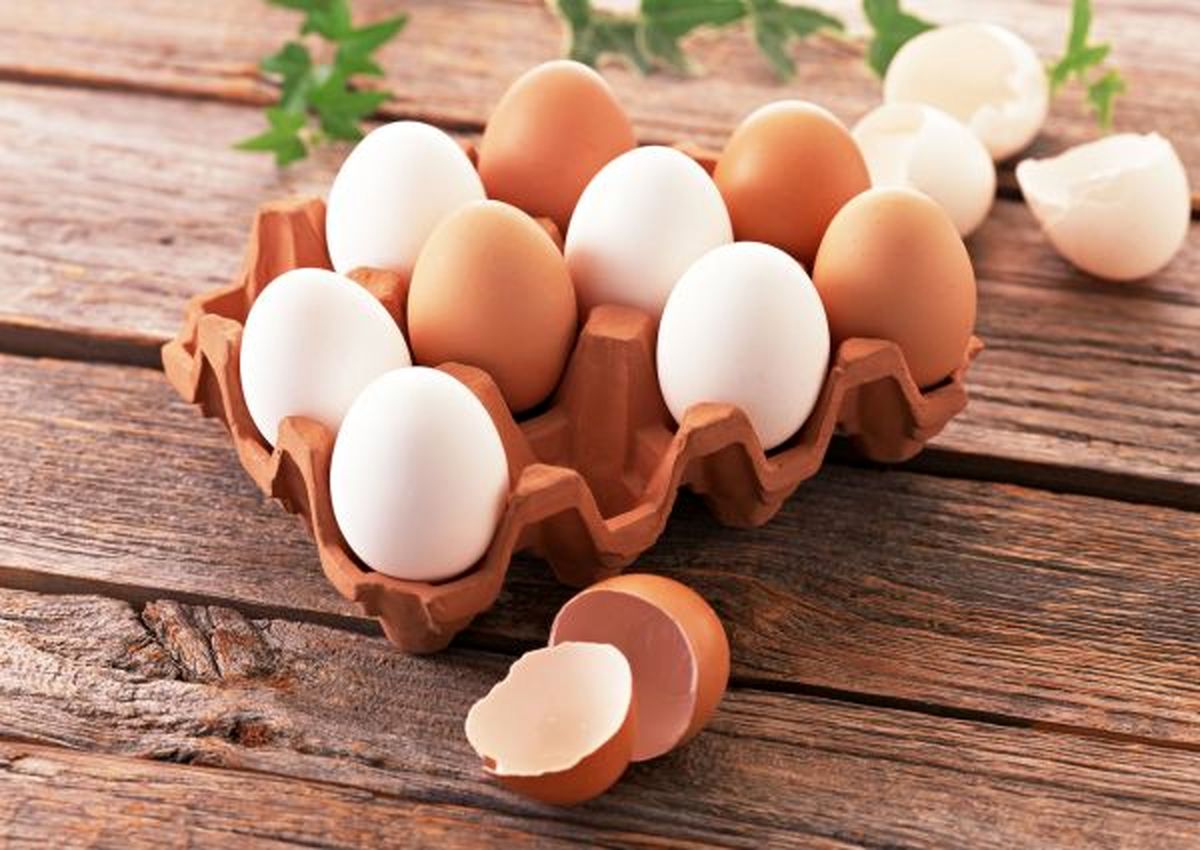 کمپین #تخم‌مرغ_نخریم و آینده قیمت آن