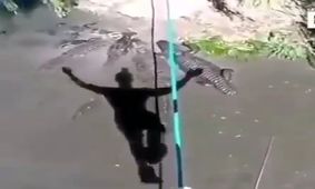بند بازی روی رودخانه با تمساح های گرسنه !