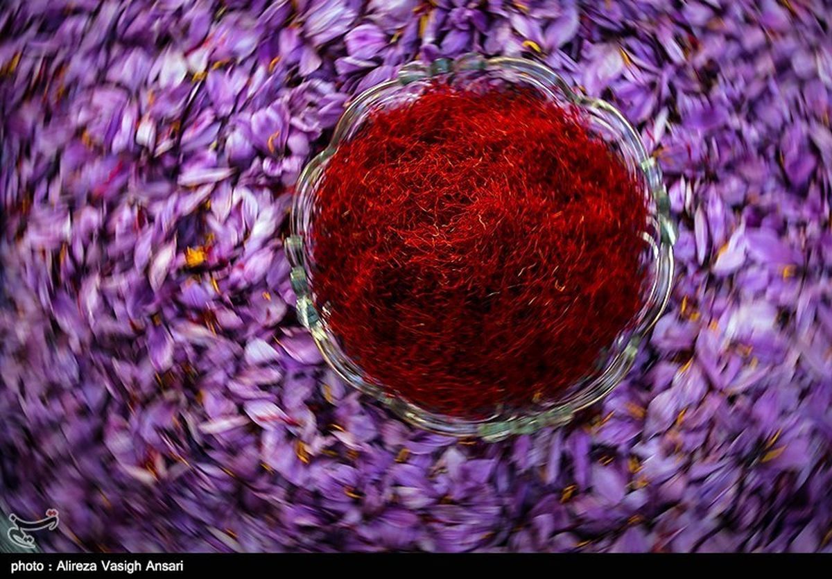 طرح ضربتی مقابله با فروش "زعفران تقلبی" در اطراف حرم امام رضا(ع)؛ پیشگیری از "فله‌فروشی" در انتظار تصویب