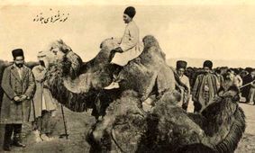 روایت سفیر فرانسه از مراسم عید قربان در تهران ۱۱۳ سال پیش / هر قسمت از بدن قربانی سهم یکی از صنوف تهران بود