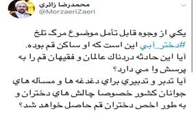 توييت متفاوت حجت الاسلام زائري درباره مرگ دختر آبی؛ او ساکن قم بود