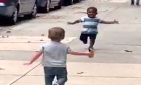 دیدار شیرین ۲ دوست کوچک بعد چند روز دوری ازهم