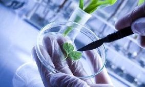 تدوین پیش‌نویس مصوبه تقسیم کار ملی/بررسی بازار جهانی 20 محصول زیست‌فناوری