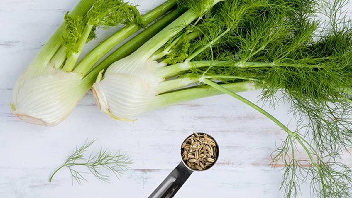 ارزش تغذیه‌ای تخم رازیانه برای کاهش وزن