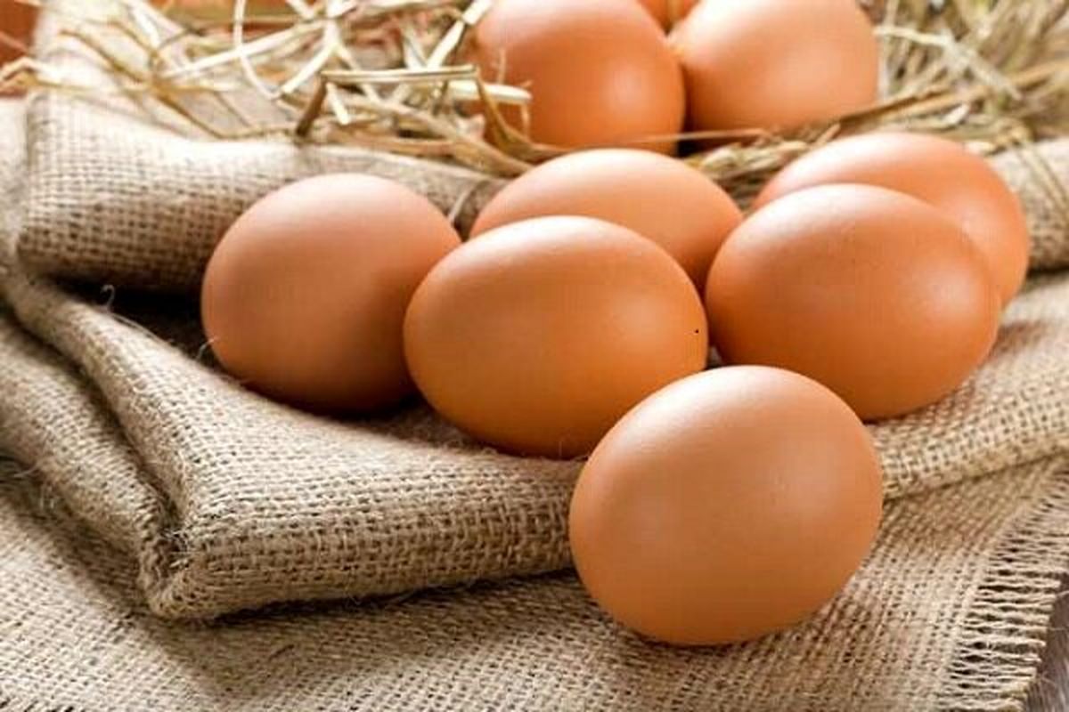 صادرات تخم مرغ متوقف شد/ سهم بازار ایران به ترکیه رسید