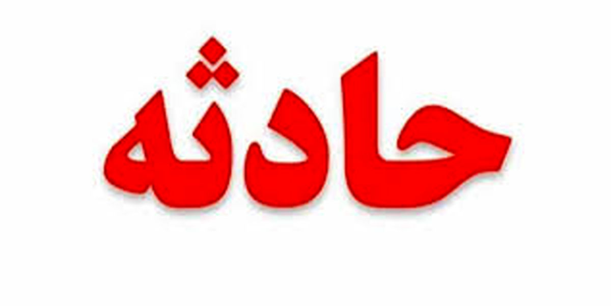 لحظه تصادف وحشتناک قطار با حیوان غول پیکر + فیلم