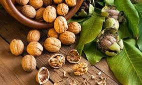 سرطان را با این خوراکی‌ها به زانو درآورید