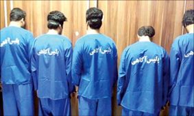 خفاش های طلایی شکار شدند