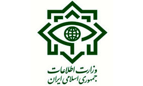 وزارت اطلاعات ادعای دستگیری تعدادی بسیجی در تجمعات اخیر را تکذیب کرد