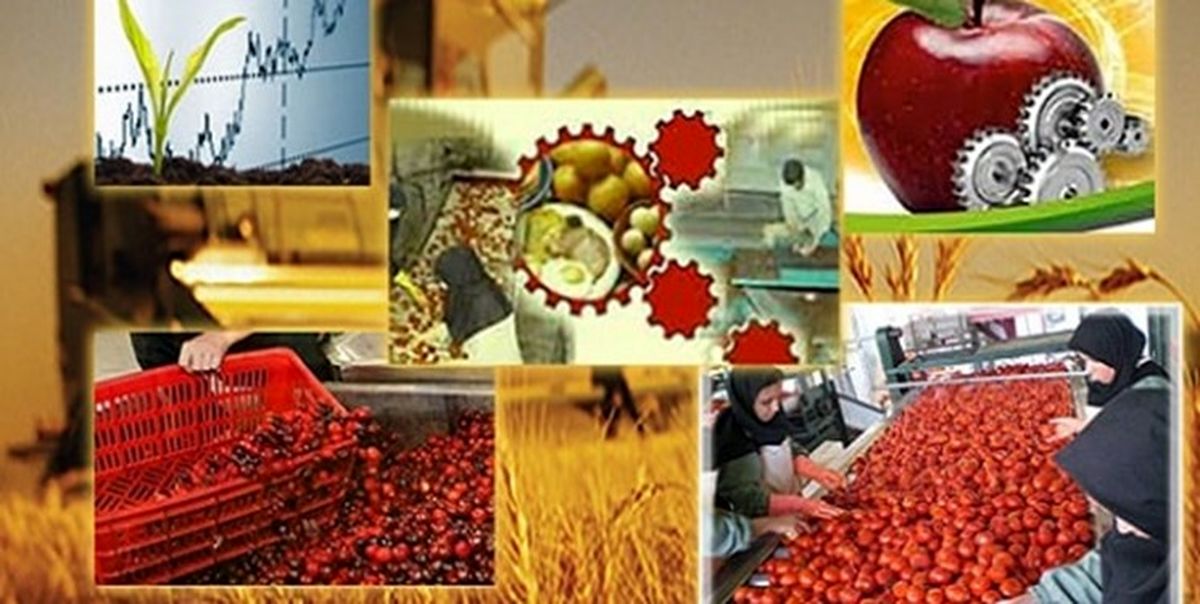 بازگشت به کار ۱۲۰ کارگر با حمایت دستگاه قضایی زنجان