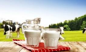 شیر بخورید و نگران سلامت آن نباشید