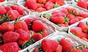 با توت فرنگی به جنگ سرطان سینه بروید