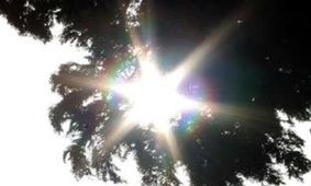 دمای ۷ شهر سیستان و بلوچستان به بیش از ۳۰ درجه رسید