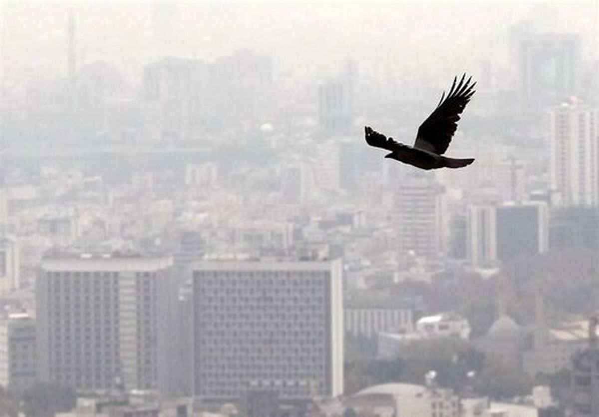 پیش بینی رکود سنگین مسکن در بهار ۹۹