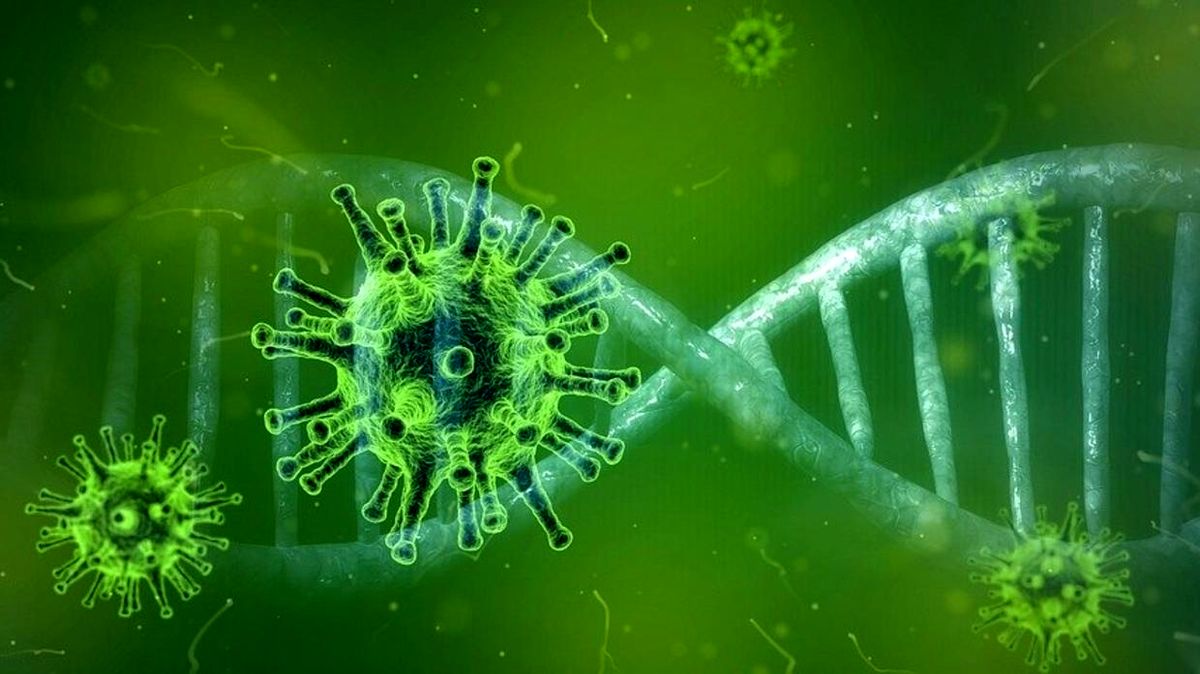 چگونه بعد از خرید کرونا را به خانه نیاوریم؟