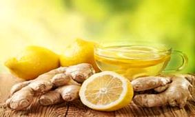 حباب کاذب قیمت لیموترش و لیموشیرین در بازار