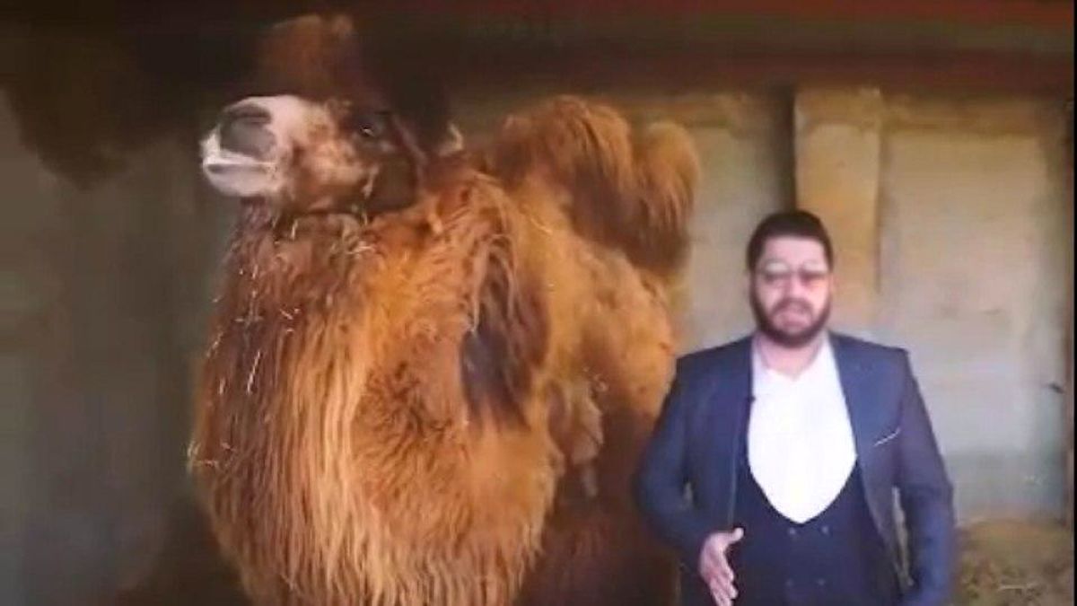 تبلیغ‌کننده مزایای نوشیدن ادرار شتر بازداشت شد