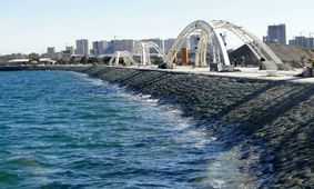 آتش سوزی در محوطه سبز روبروی دریاچه خلیج فارس