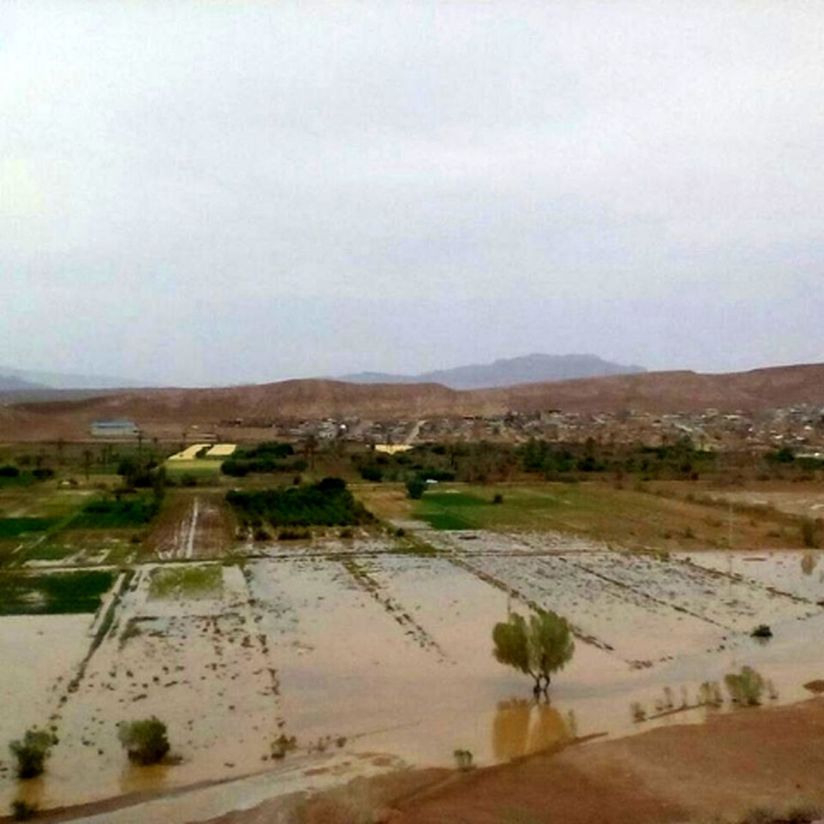 خسارت سیل به کشاورزان روستای چوپانان