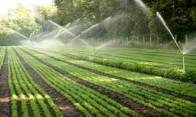 اجرای سیستم نوین آبیاری در ۱۶۸ هکتار از اراضی کشاورزی سرخه