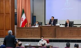 سلطان و شبان در دادگاه شرکت بازرگانی پتروشیمی!
