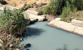 آبیاری زمین‌های کشاورزی ابهر با فاضلاب ؛ نتیجه اجرای طرح‌های بدون مطالعه/ نبود اعتبار و فرهنگ کشاورزی دو عامل دیگر