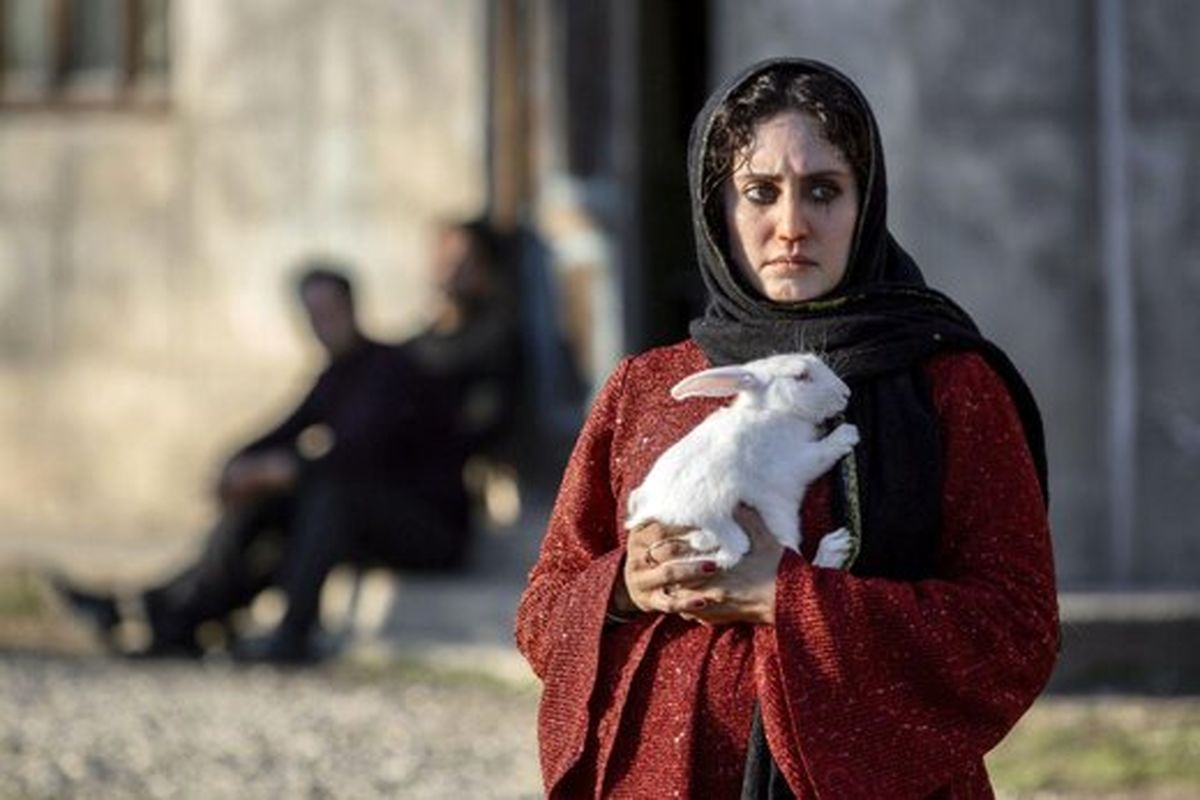 فیلم جدید پارسا پیروزفر و الناز شاکردوست مجوز نمایش گرفت / عکس