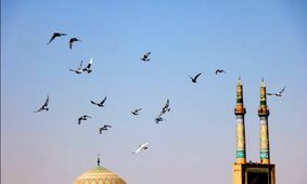 جاذبه آسمان یزد با رقص پرندگانش