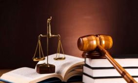 ۶۰۰ ساعت خدمات عمومی رایگان؛ حکم متخلف شکار و صید در تربت حیدریه