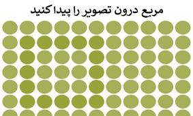 چند معمای تصویری که قدرت بینایی تان را می‌سنجند