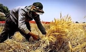فرصت‌های اشتغال‌زایی در روستاهای اردبیل فراهم شود