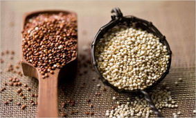 ضد مواد مغذی، مفید یا مضر؟